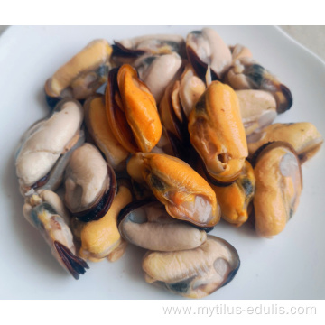 fresh frozen green shell mussels